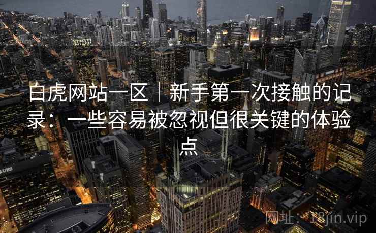 白虎网站一区｜新手第一次接触的记录：一些容易被忽视但很关键的体验点