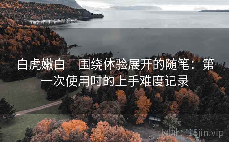 白虎嫩白｜围绕体验展开的随笔：第一次使用时的上手难度记录