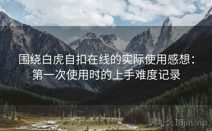 围绕白虎自扣在线的实际使用感想：第一次使用时的上手难度记录