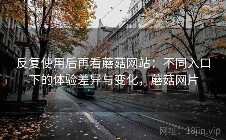 反复使用后再看蘑菇网站：不同入口下的体验差异与变化，蘑菇网片