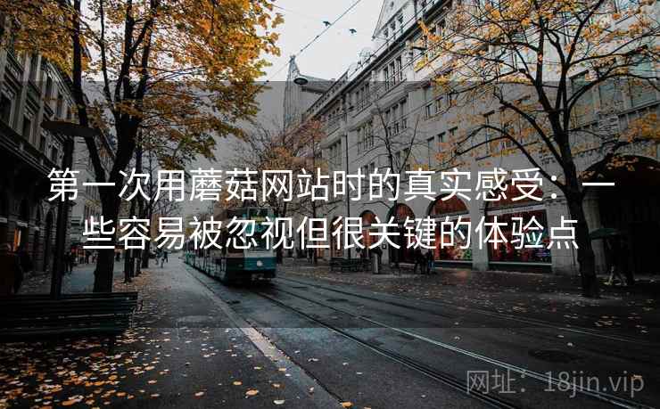 第一次用蘑菇网站时的真实感受:一些容易被忽视但很关键的体验点 第一次用蘑菇网站时的真实感受:一些容易被忽视但很关键的体验点