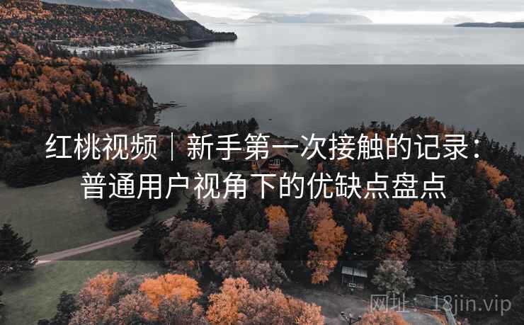 红桃视频|新手第一次接触的记录:普通用户视角下的优缺点盘点 红桃视频|新手第一次接触的记录:普通用户视角下的优缺点盘点