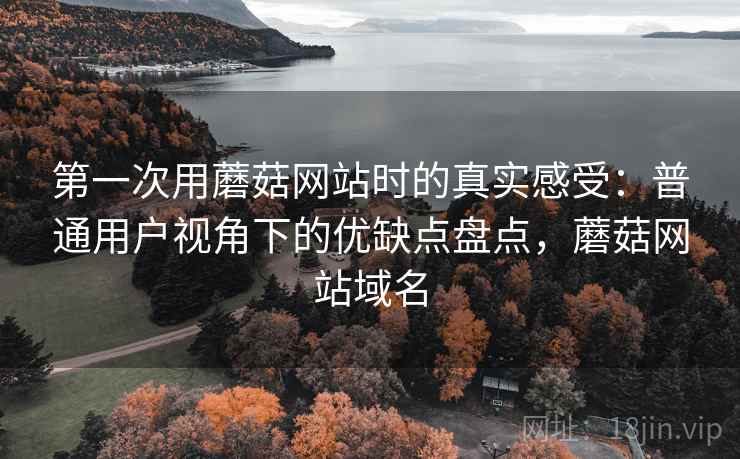 第一次用蘑菇网站时的真实感受：普通用户视角下的优缺点盘点，蘑菇网站域名