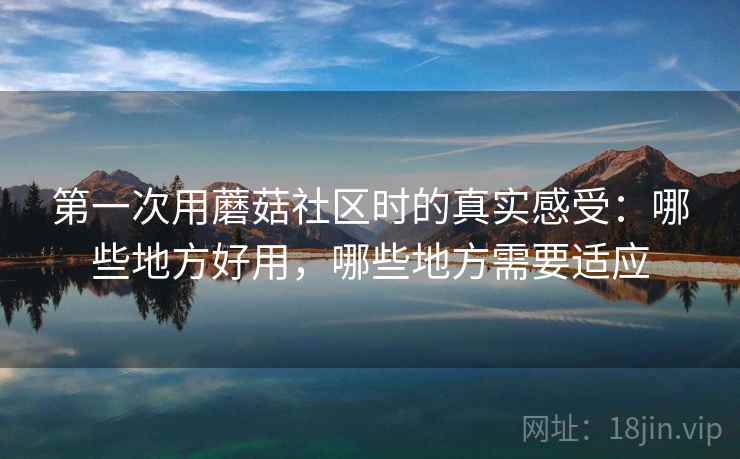 第一次用蘑菇社区时的真实感受:哪些地方好用,哪些地方需要适应 第一次用蘑菇社区时的真实感受:哪些地方好用,哪些地方需要适应