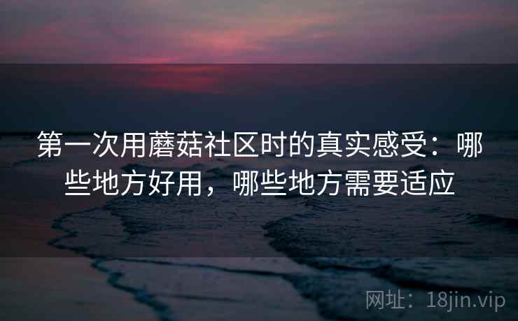 第一次用蘑菇社区时的真实感受:哪些地方好用,哪些地方需要适应 第一次用蘑菇社区时的真实感受:哪些地方好用,哪些地方需要适应