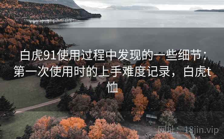 白虎91使用过程中发现的一些细节:第一次使用时的上手难度记录,白虎t恤 白虎91使用过程中发现的一些细节:第一次使用时的上手难度记录,白虎t恤