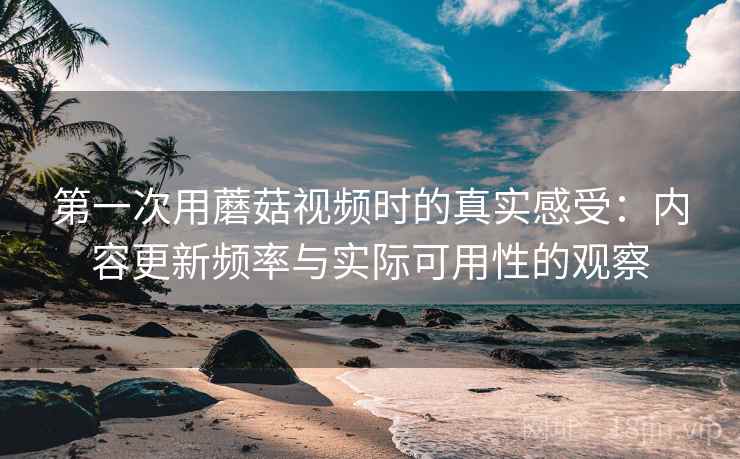 第一次用蘑菇视频时的真实感受:内容更新频率与实际可用性的观察 第一次用蘑菇视频时的真实感受:内容更新频率与实际可用性的观察